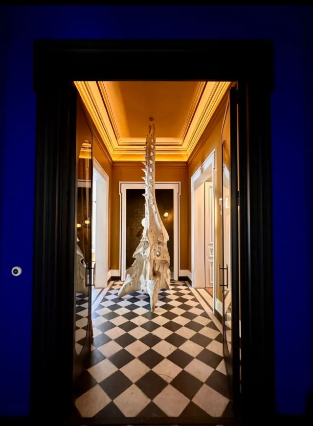 Le showroom du studio, 43 rue Jean Lecanuet à Rouen